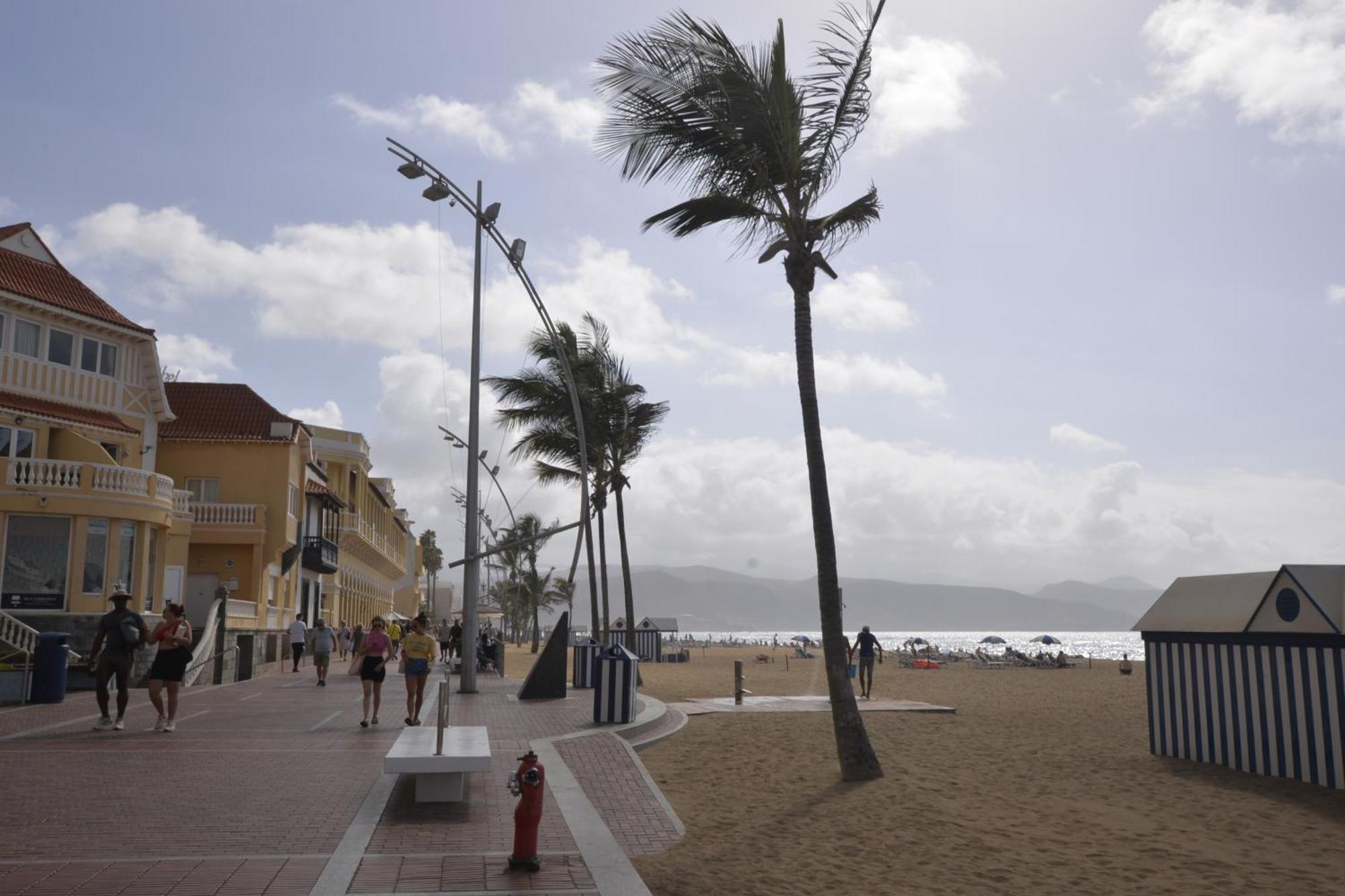 Apartamento Maralma Las Palmas de Gran Canaria Extérieur photo